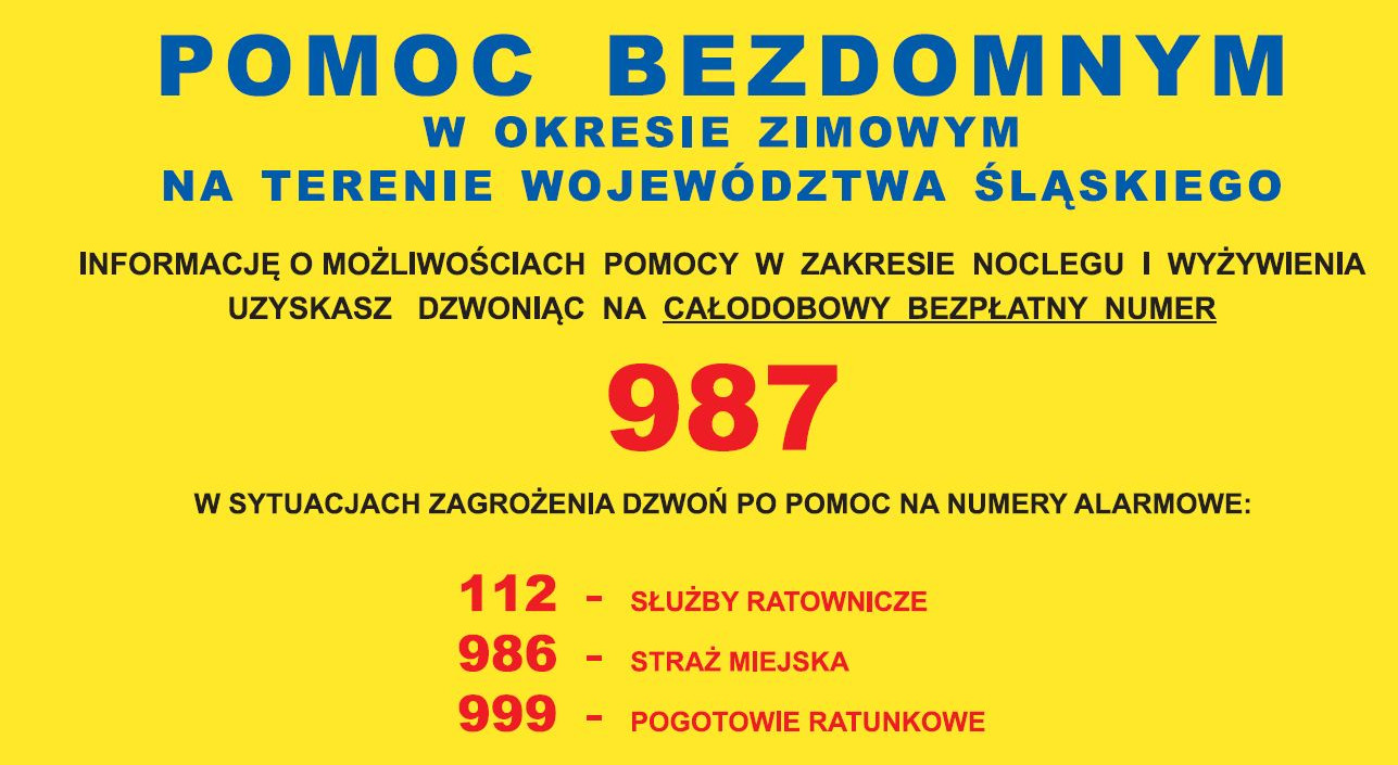 bezdomność inf